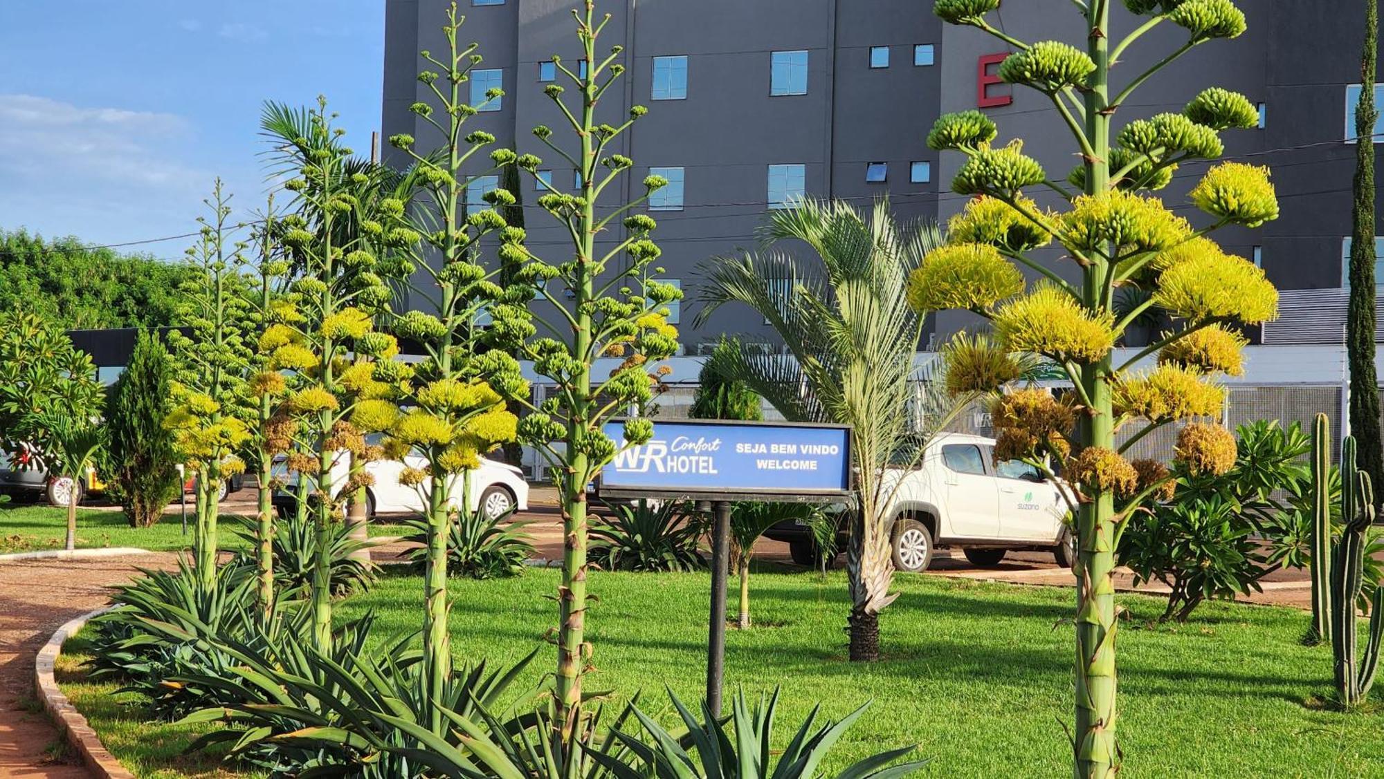 Wr Confort Hotel Campo Grande Екстер'єр фото